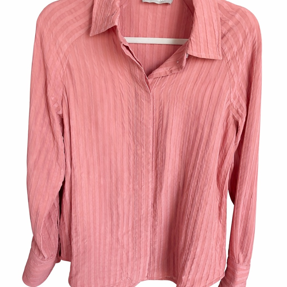 Everlane Pink Button Down Shirt